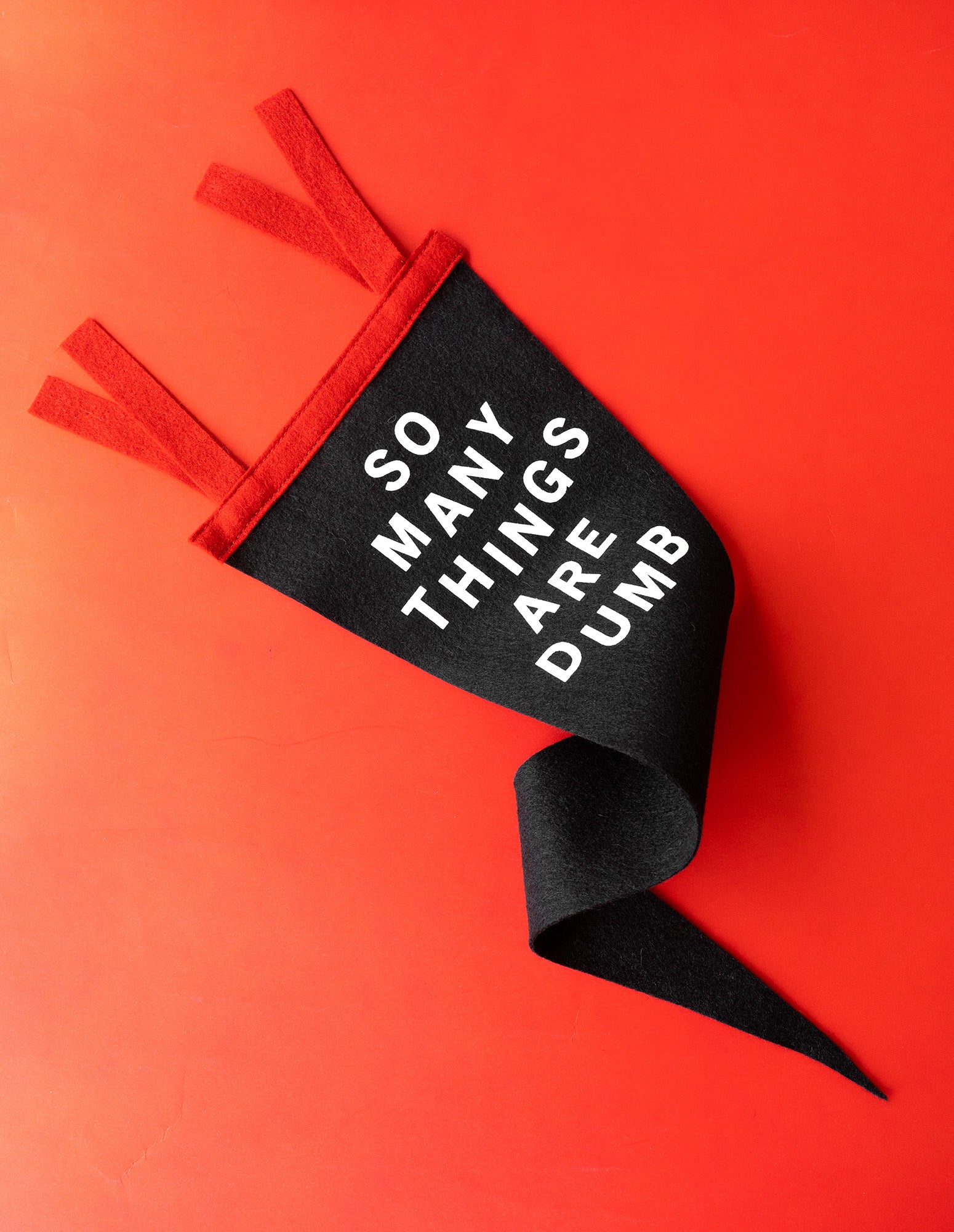 A black pennant with red ties folded on a red background.  The phrase "So Many Things are Dumb" is printed on one side in white.  