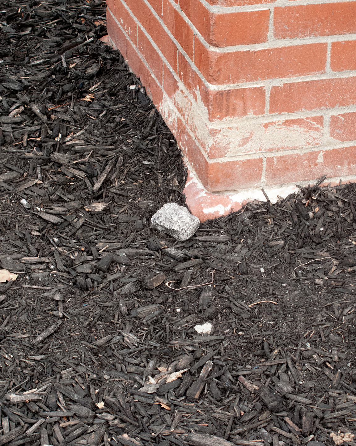 No Fun Press "Stash Rock" outside of an apartment building.